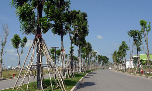 Đất phía Tây Sài Gòn tăng giá gấp đôi trong 4 tháng.